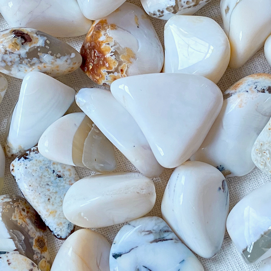 ☆ WHITE OPAL COMMON AGATE A+