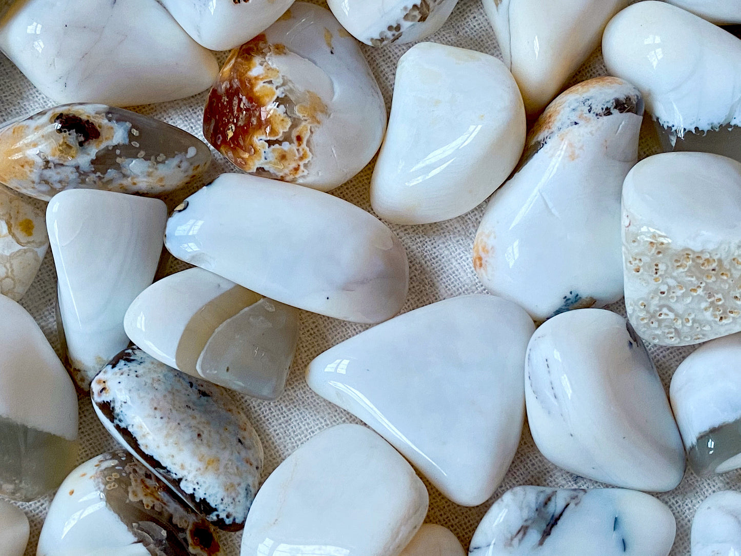 ☆ WHITE OPAL COMMON AGATE A+