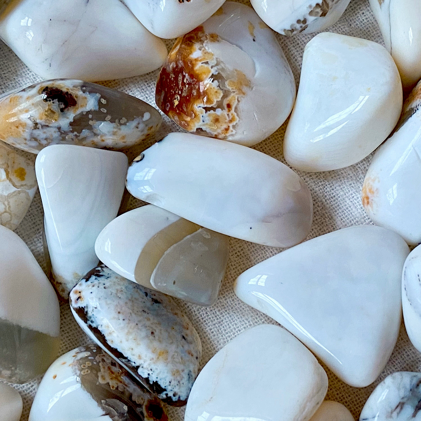 ☆ WHITE OPAL COMMON AGATE A+