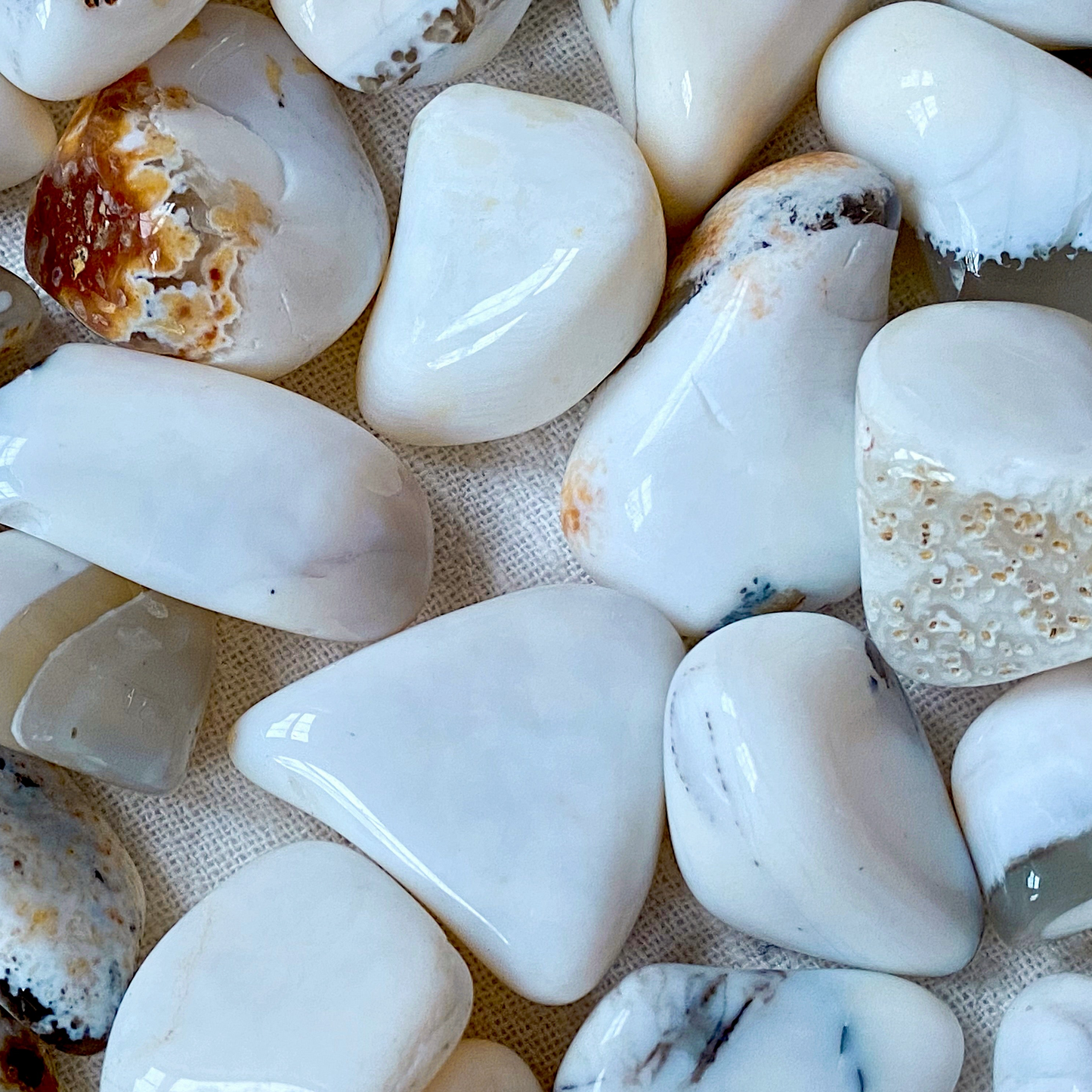 ☆ WHITE OPAL COMMON AGATE A+