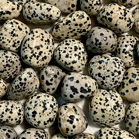 ☆ DALMATION JASPER