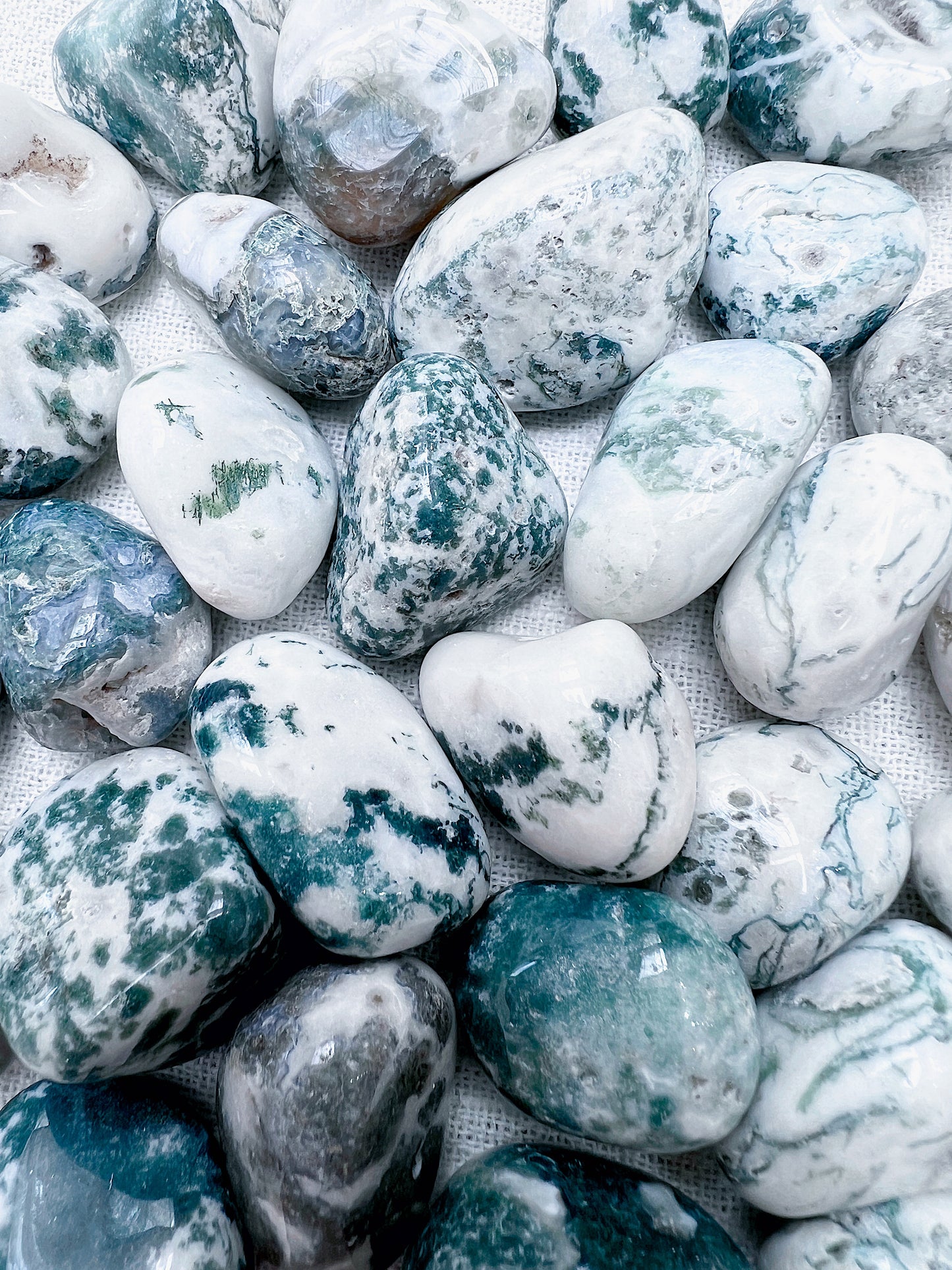 ☆ GREEN TREE AGATE