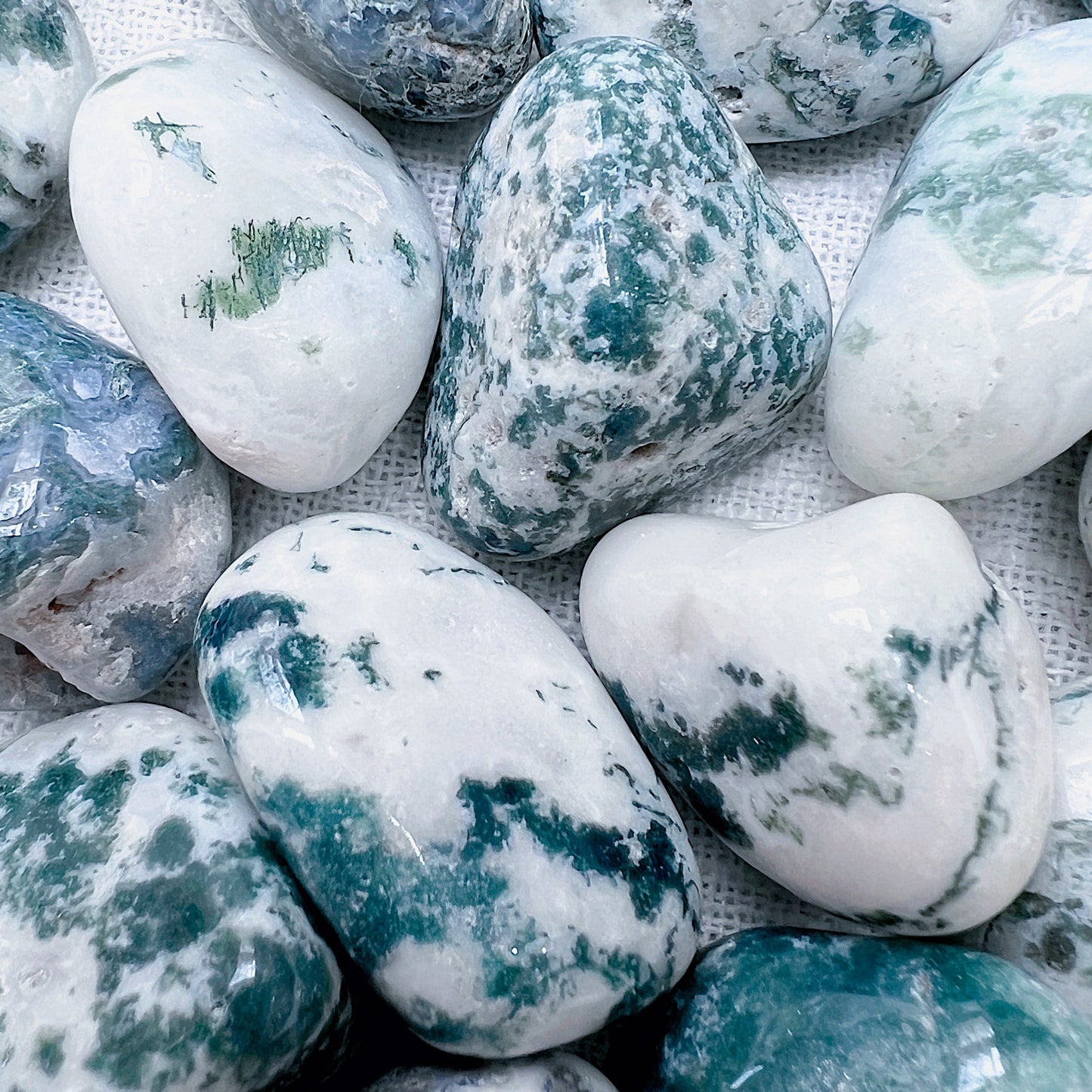 ☆ GREEN TREE AGATE