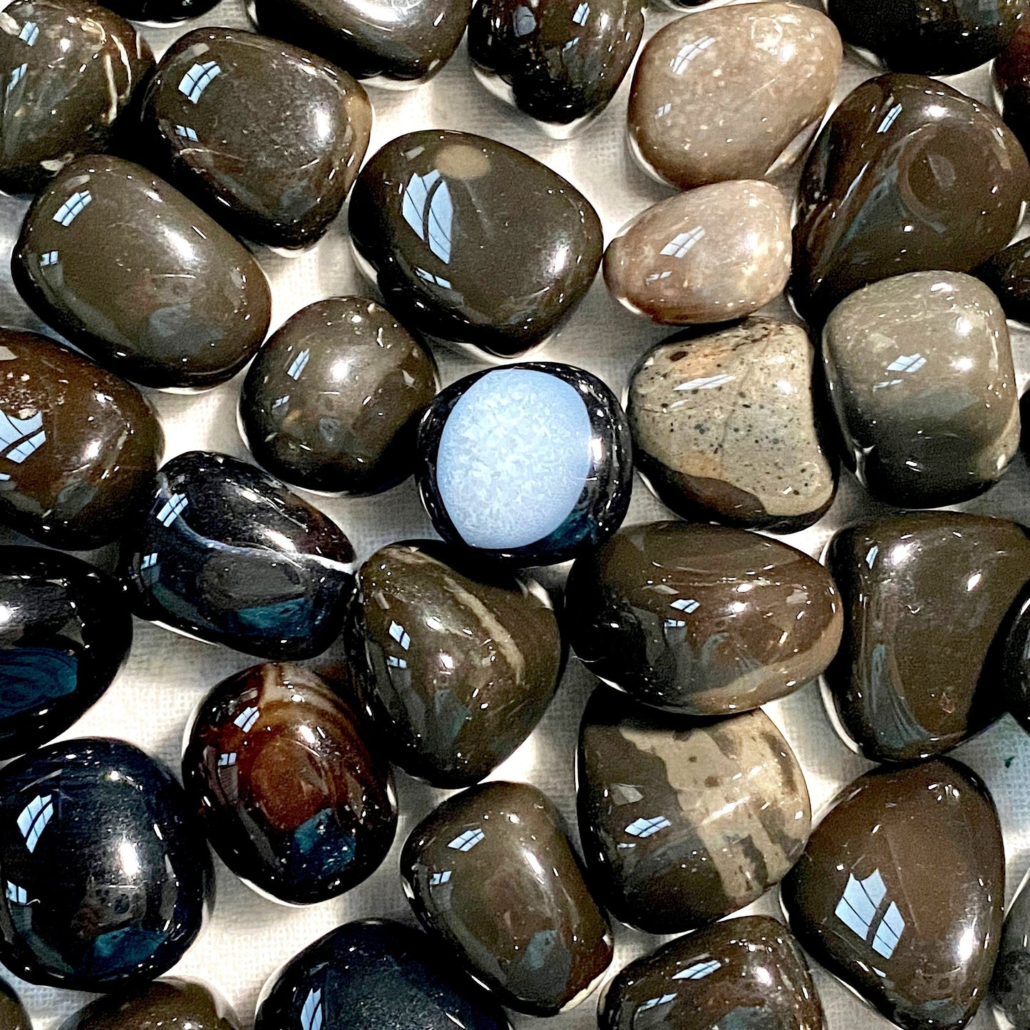 ☆ BLACK AGATE