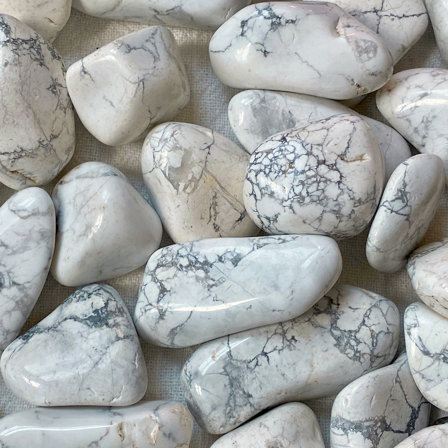 ☆ HOWLITE