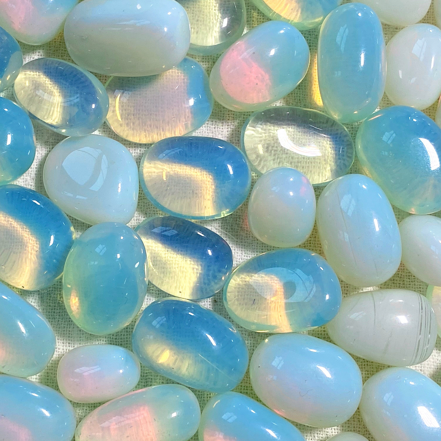 ☆ OPALITE